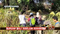4 Remaja Tersangka Pembunuhan dan Pemerkosaan Siswi SMP di Palembang, Motif Karena Asmara