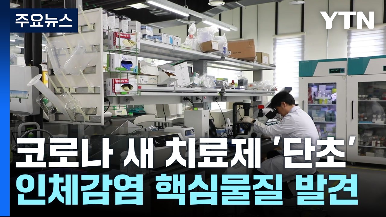코로나19 인체 감염 핵심 물질 발견...새 치료제 개발 단초 / YTN