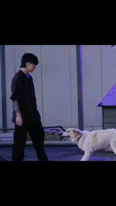 Jungkook with dog
