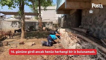 Kayıp Narin'in son sözleri! İşte 43 dakikalık sır perdesinin ayrıntıları