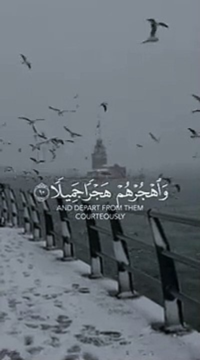 Heart Touching  Quran Status __ Quran Urdu translation WhatsApp status _tiktok _quran _love  |Whatsapp Status | Islamic Records | Abdul Rahman Mossod