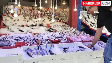 Palamut 40, hamsi 250 liradan tezgahtaki yerini aldı