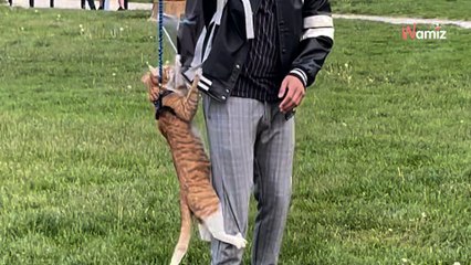 Couple try to take cat out on a lead; its reaction has everyone in stitches