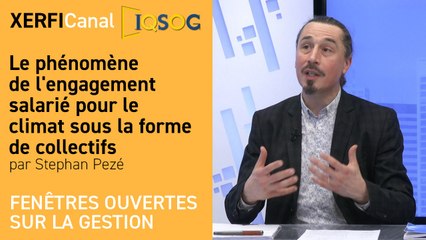 Le phénomène de l'engagement salarié pour le climat sous la forme de collectifs  [Stephan Pezé]