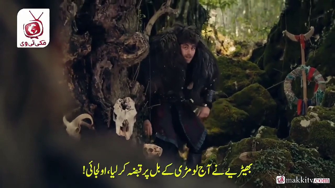 آج بھیڑیے نے لومڑی کے بل پر قبضہ کر لیا ہے۔۔_اولجائی کا پروگرام وڑ گیا----- #KuruluşOsman #kurulusosman