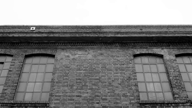 Ratones Paranoicos - Rock 'n' roll total | Rock 'n' roll total (2024)