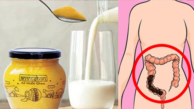 Hot Milk With Ghee For Constipation: Garm Dudh Me Ghee Dal Ke Peene Se Kya Hota Hai