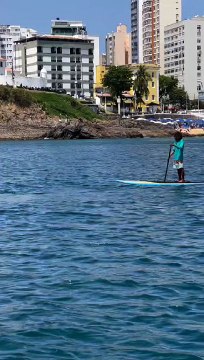 Mais uma! Banhistas flagram baleia jubarte no Porto da Barra