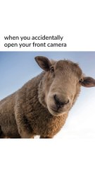 Hilarious Pranks Gone Wrong