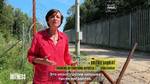 Стена надежды: волонтеры Польши помогают нелегалам, идущим из Беларуси