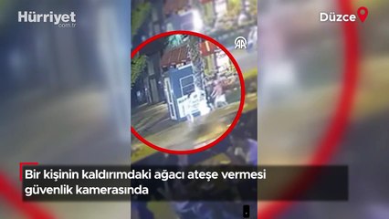Bir kişinin kaldırımdaki ağacı ateşe vermesi kamerada