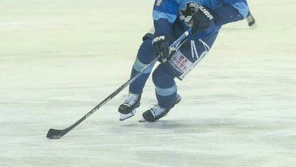 아이스하키 아시아리그 내일 개막...HL 안양 9번째 우승 도전 / YTN