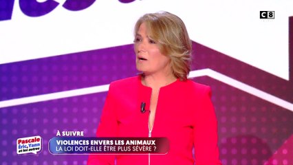 Violences envers les animaux, la loi doit-elle être plus sévère ?
