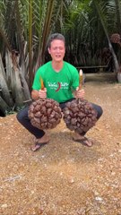 The Most Unique Fruit in the World - Here's How You Eat It! #Shorts