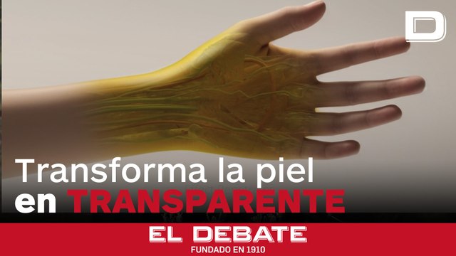 Crean una pomada que vuelve transparentes los tejidos de animales vivos usando un colorante alimentario