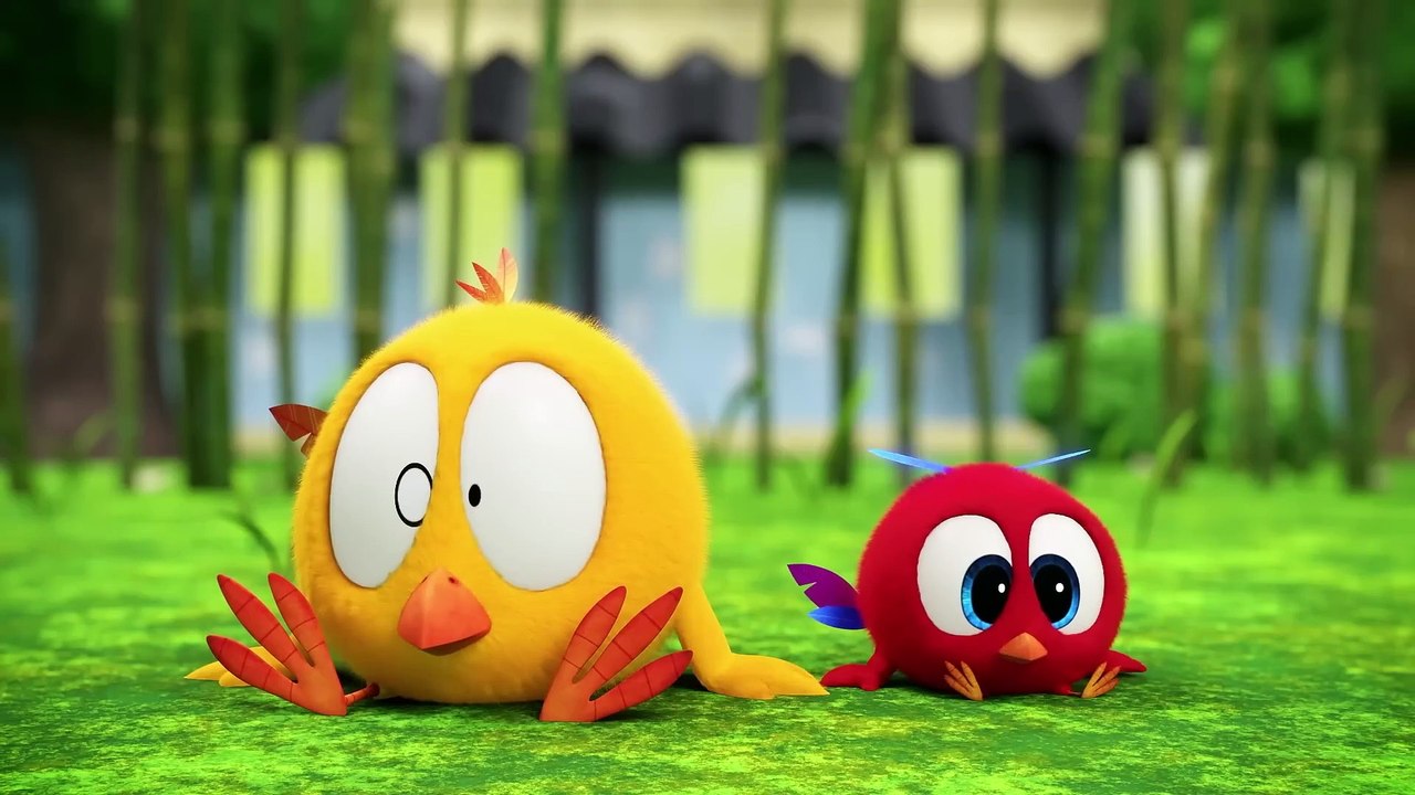 Where's Chicky_ Funny Chicky 2024 _ COMPILATION _ Cartoon in English for Kids _ New episodes