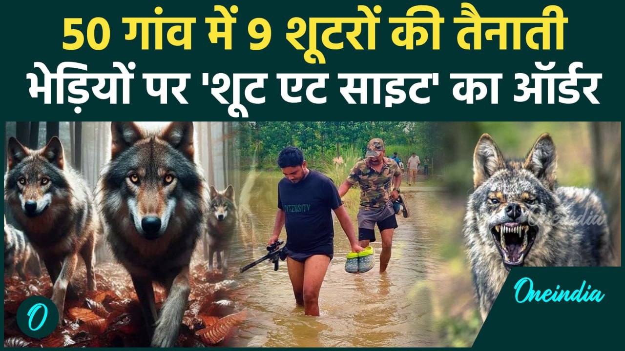 Bahraich Bhediya Attack: भेड़ियों को मारने के लिए 50 गांव में 9 शूटर तैनात| CM Yogi | वनइंडिया हिंदी