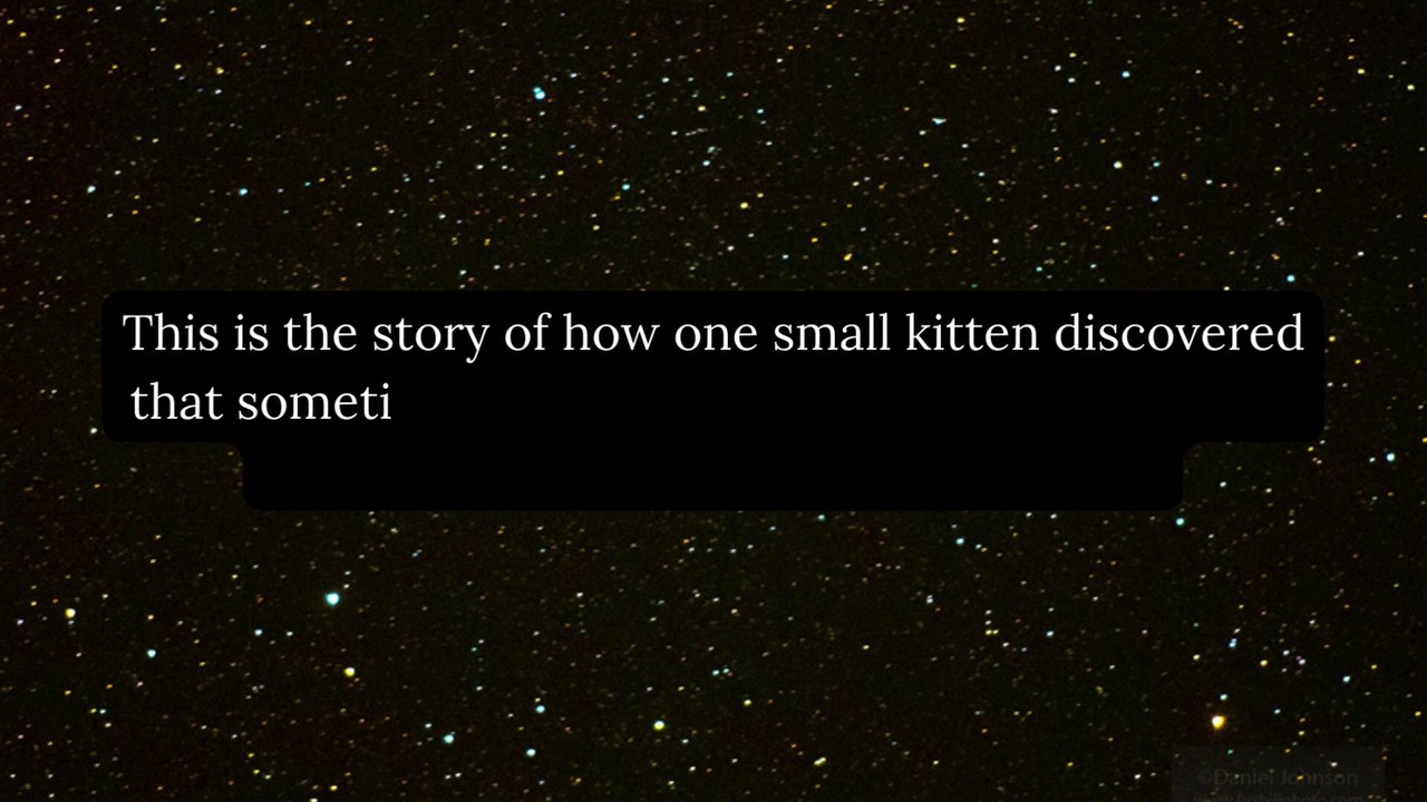 The Kitten Who Reached the Stars: An Inspirational Tale of Dreams and Courage