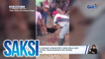 Lugar kung saan umano kinakatay ang mga aso para gawing pulutan, nakuhanan ng isang concerned citizen | Saksi