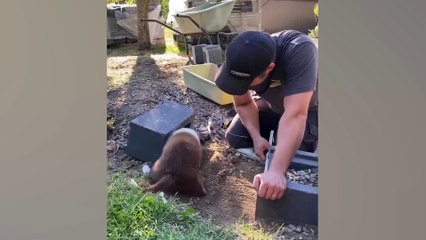 The world’s CUTEST PUPPIES of 2024 are here to make you LAUGH