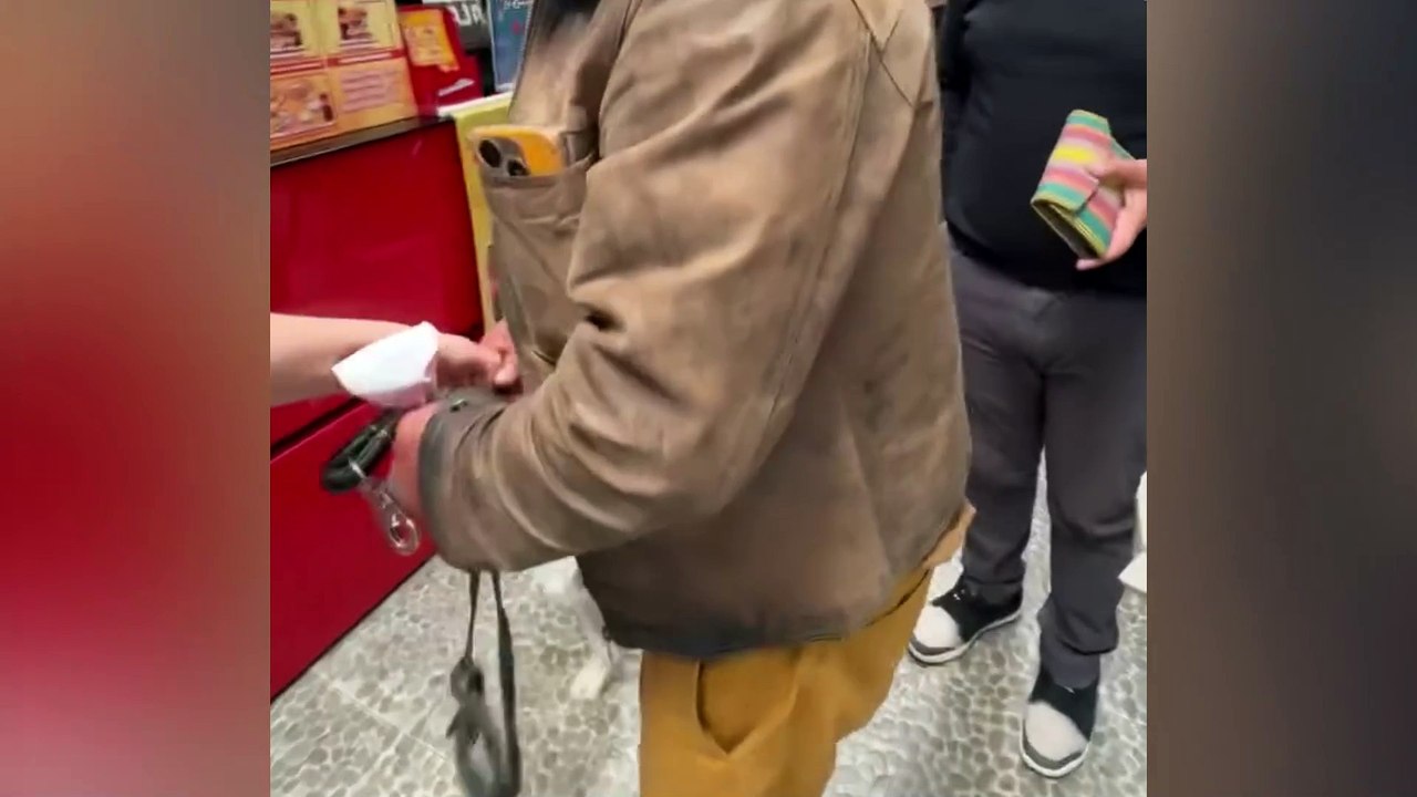 Un hombre fue denunciado por “maltratar” a su mascota con ‘patadas’ y ‘sopapos’