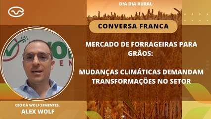 Mercado de forrageiras para grãos: Mudanças climáticas demandam transformações no setor
