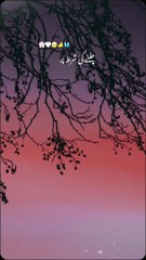 تیری یاد جوانی کھا گئی ہے