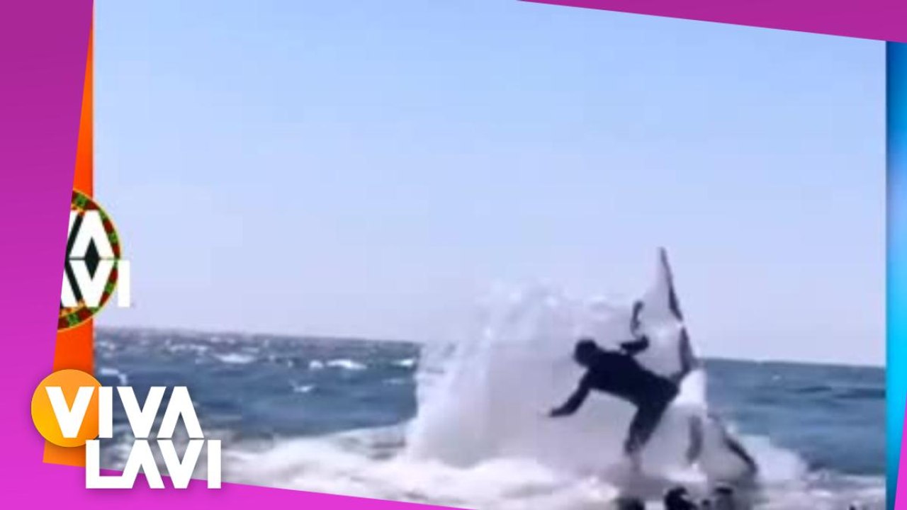 Guía de snorkel es lanzada por ballena