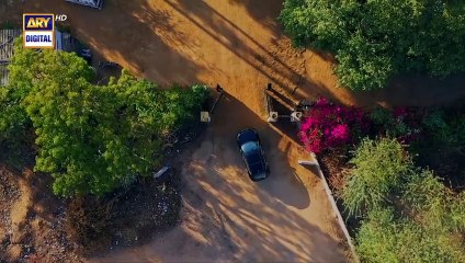 Noor Jahan Episode 30 6 September 2024 ARY_Digita