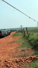 Terra Roxa: Policial é agredido e tem fuzil tomado por indígenas em área de invasão