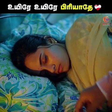 Unusual Love Story | Tamil Trending Infos