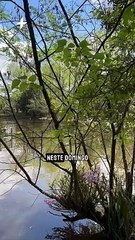 ANIVERSÁRIO DE ESTÂNCIA VELHA: Confira três lugares para conhecer na cidade