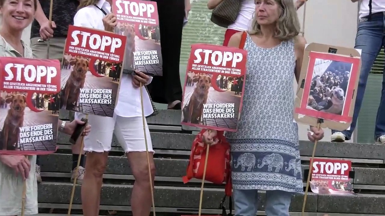 Mahnwache gegen die gesetzliche Tötung von Straßentieren in der Türkei