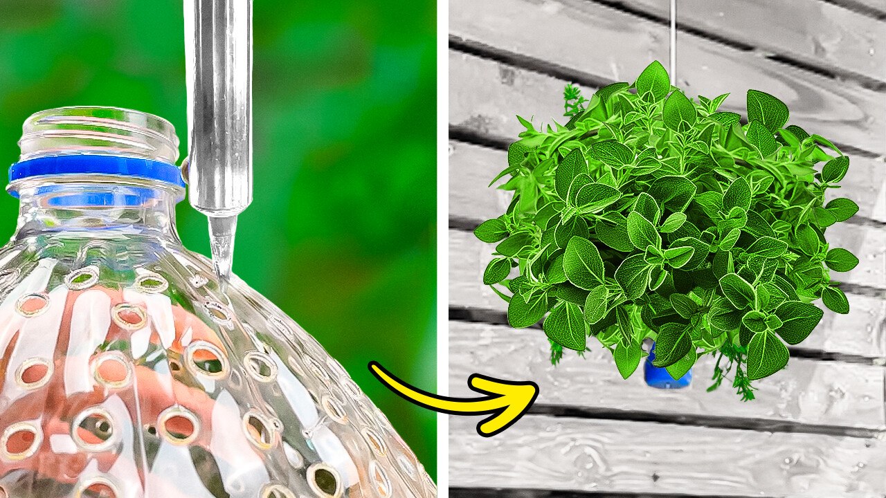 Gardening Hacks: 101 Planting Techniques and Plastic Bottle Craft Ideas for Plants