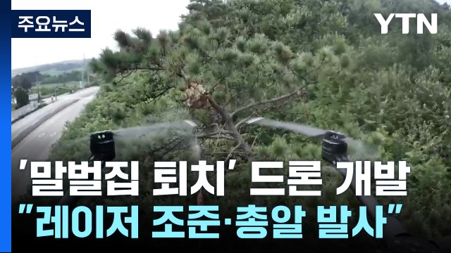말벌? 이제 상대는 드론 ...퇴치 묘안 나왔다 / YTN