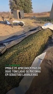PMBA e PF apreendem mais de duas toneladas de maconha em Sebastião Laranjeiras