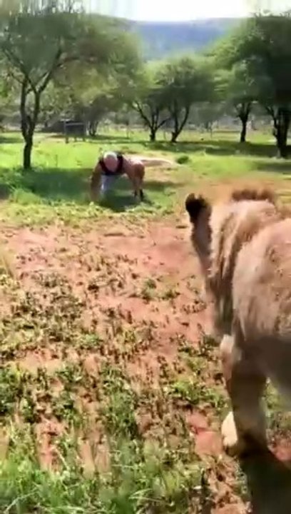 Lion and his man