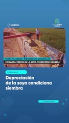 Depreciación de la soya condiciona siembra