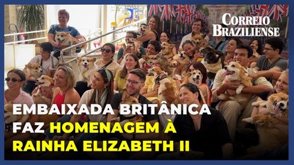 Embaixada Britânica reúne 30 corgis em memória da Rainha Elizabeth II