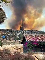 Incendio forestal en Tecate causa preocupación