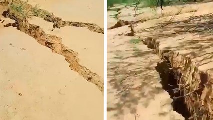 Sonora: Ganadero reporta nacimiento repentino de una zanja que se tragó a varios animales en Hermosillo