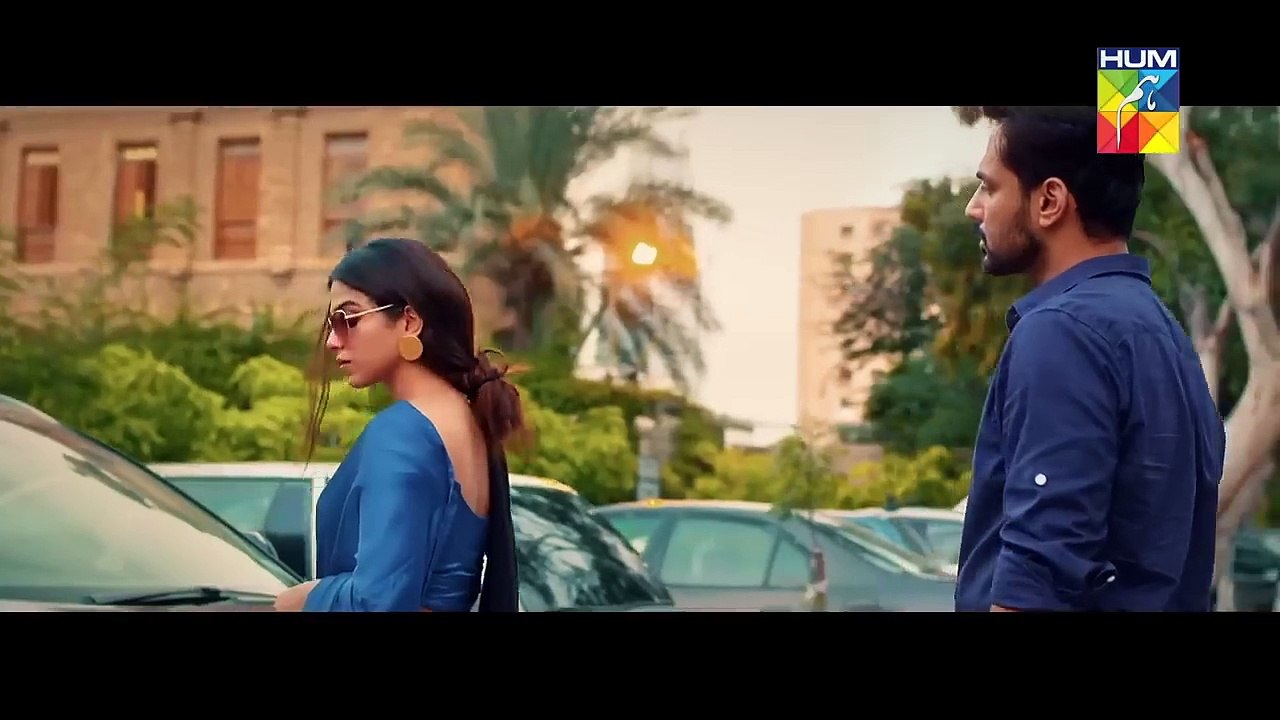 Mohabbat Tujhe Alvida  OST by Sahir Ali Bagga  Afshan Fawad