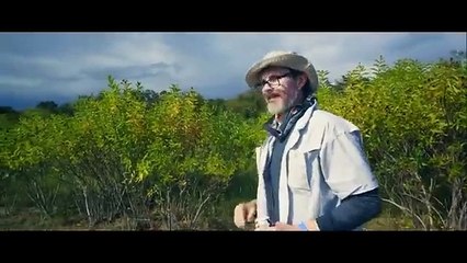 TORO TIBÚRON PELICULA DE SUSPENSO COMPLETA EN ESPANOL LATINO HD