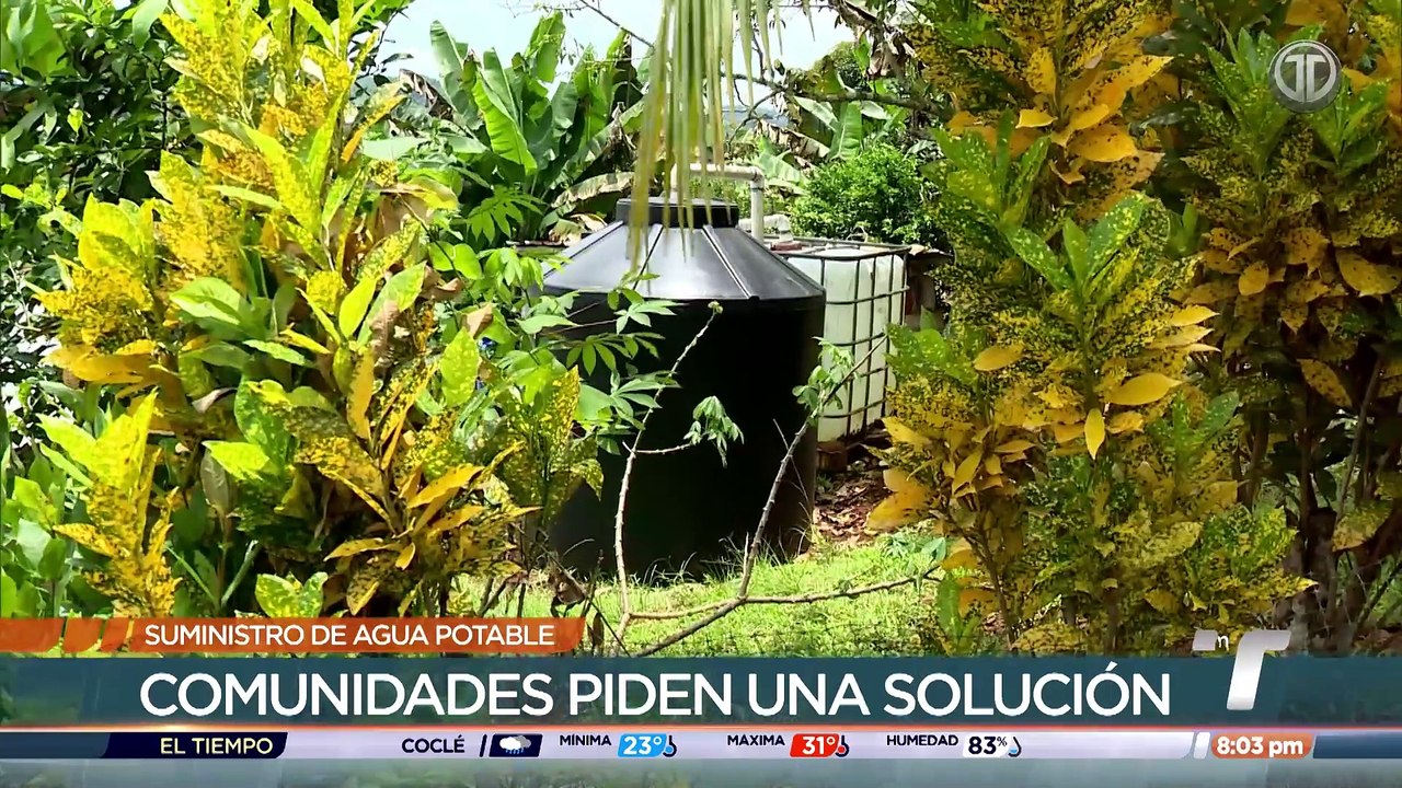 Ciudadanos que se abastecen de cisternas piden contar con un suministro de agua eficiente
