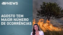 Decretos de emergência por incêndios aumentam 193% em 2024; Patrícia Costa analisa