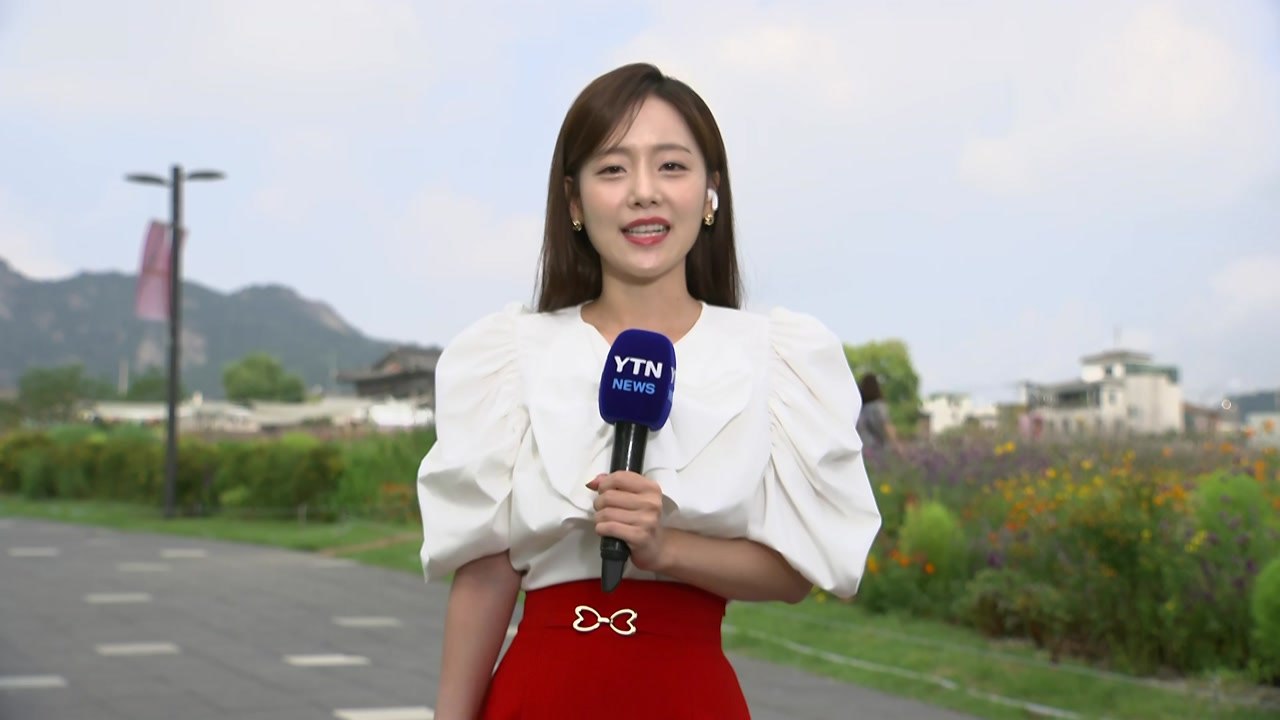 [날씨] 덥지만, 어느새 가을 성큼...코스모스 '활짝' / YTN