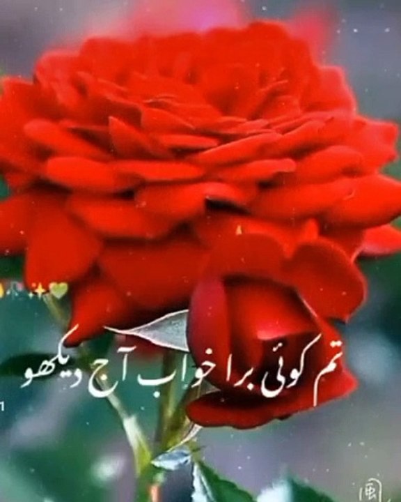 Meray Nabi Pak (S.A.W) ne farmaya | Islamic videos | viral shorts | @bismaajaz