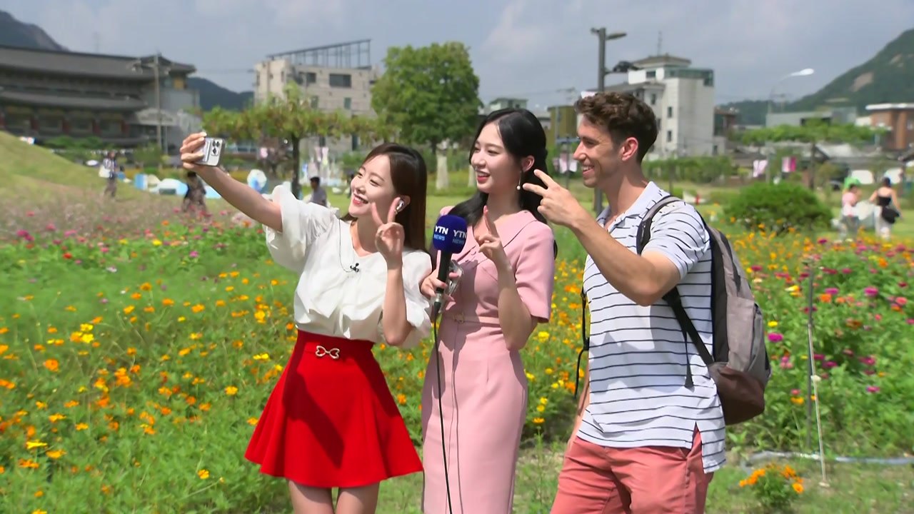 [날씨] 늦더위 속 가을 성큼...코스모스 활짝 핀 도심 공원 / YTN