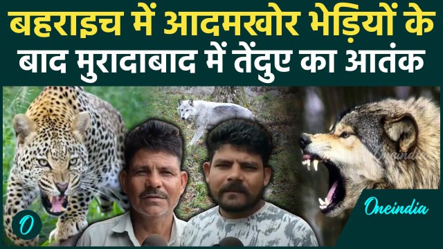 Bahraich Bhediya Attack: अब मुरादाबाद में तेंदुए का आतंक | Bahraich | Wolf Terror in UP | वनइंडिया