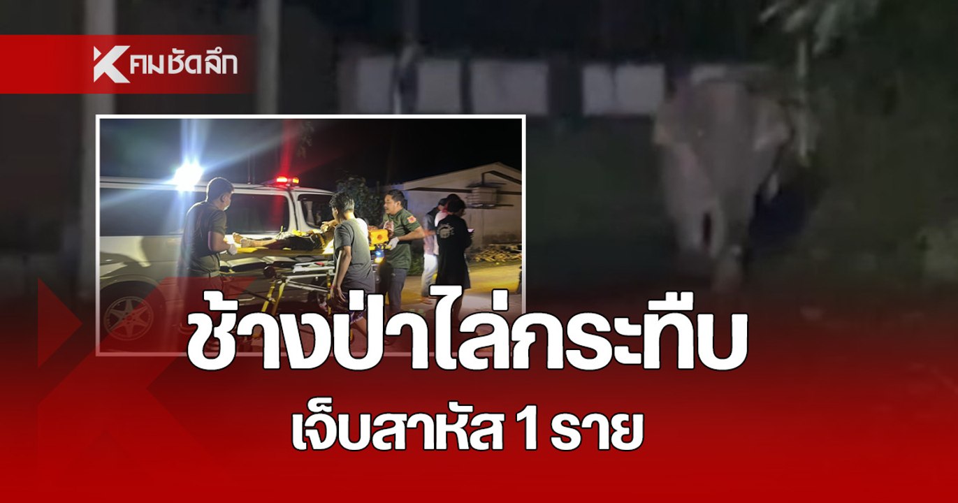 สุดระทึก ช้างป่า ออกนอกพื้นที่ อุทยานฯ วิ่งไล่ก...